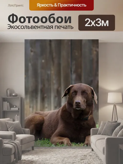200 × 300 см · Экосольвентная печать