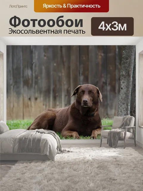 400 × 300 см · Экосольвентная печать
