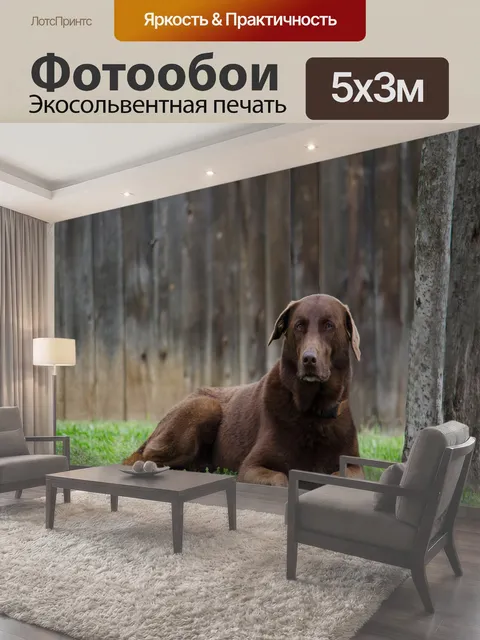 500 × 300 см · Экосольвентная печать