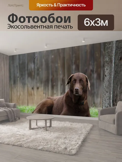 600 × 300 см · Экосольвентная печать
