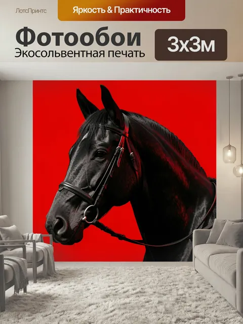 Фотообои Черный конь на красном фоне. Элегантный силуэт гнедого скакуна в упряжи, крупный план, контрастная черно-крас…