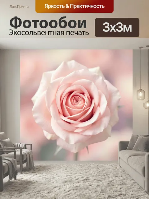 Фотообои Нежно-розовая роза крупным планом. Пастельный цветок в макросъемке с мягкими лепестками и размытым фоном. Ром…