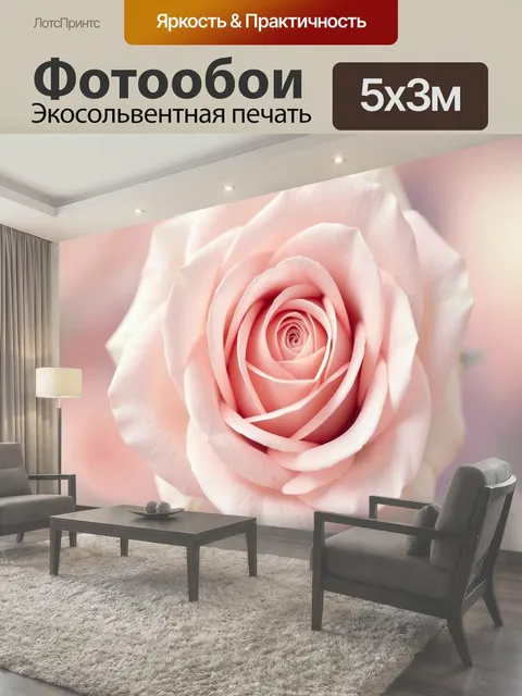 Фотообои Нежно-розовая роза крупным планом