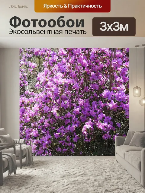 Фотообои Алтай, весна, багульник