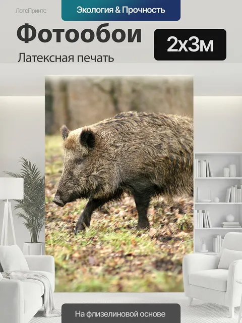 200 × 300 см · Латексная печать