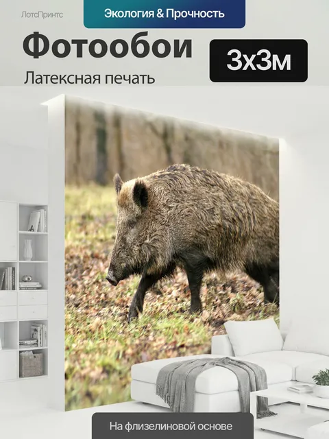 300 × 300 см · Латексная печать
