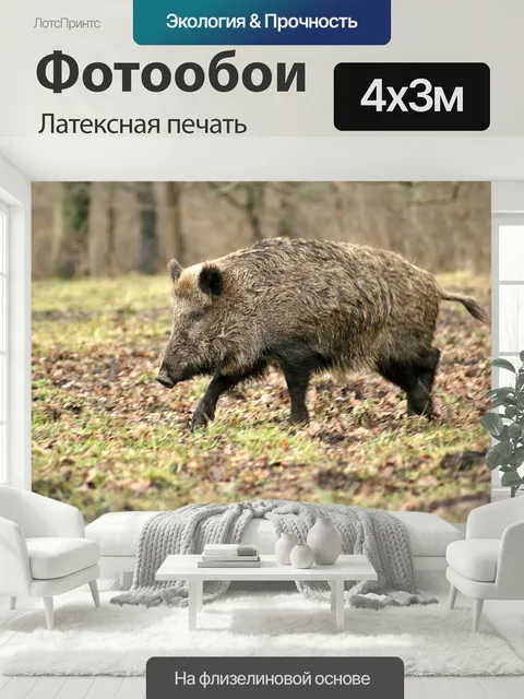400 × 300 см · Латексная печать