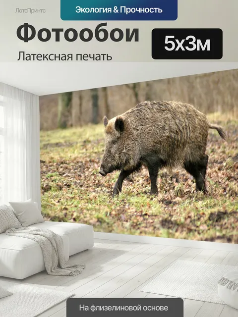 500 × 300 см · Латексная печать