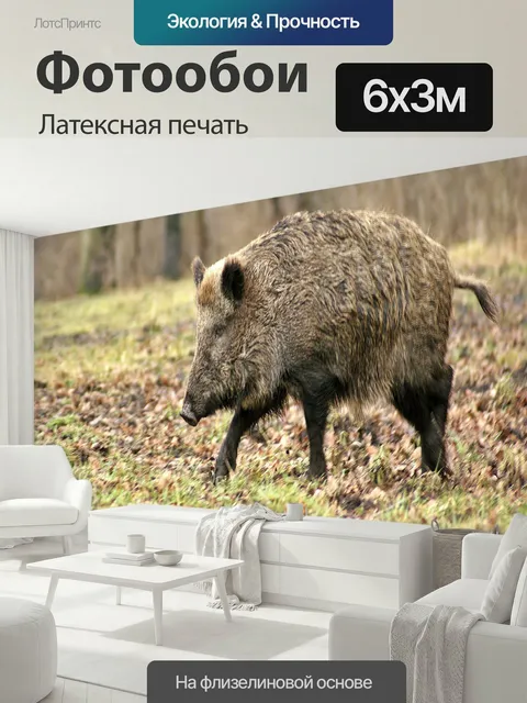 600 × 300 см · Латексная печать