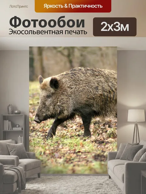 200 × 300 см · Экосольвентная печать