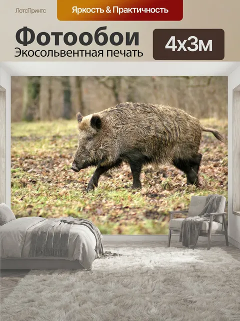 400 × 300 см · Экосольвентная печать