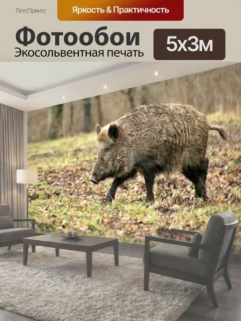 Фотообои Дикий лесной кабан избежать кабана кабан лес дерево животное зима трава листья плесень