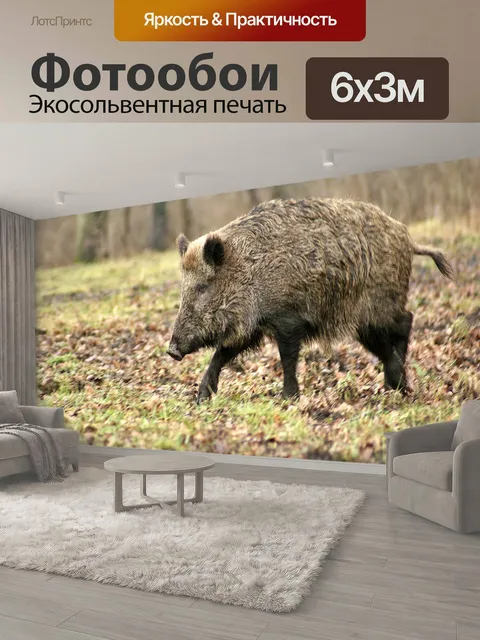 600 × 300 см · Экосольвентная печать