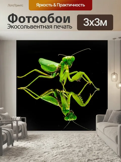 Фотообои Богомол, ловля насекомых, зеленый