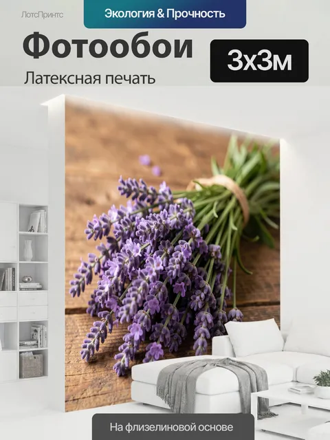 300 × 300 см · Латексная печать