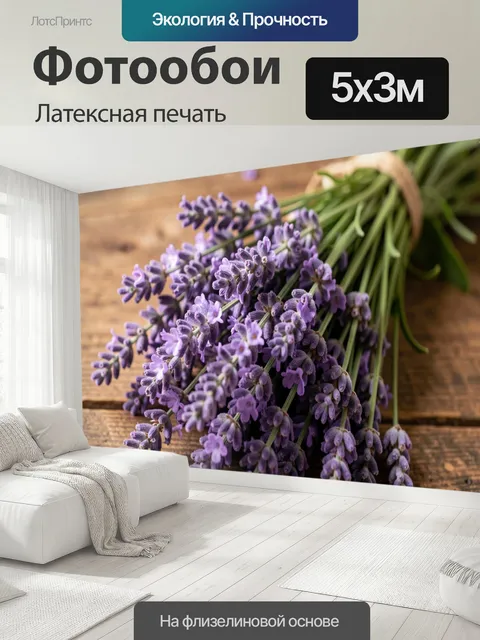 500 × 300 см · Латексная печать