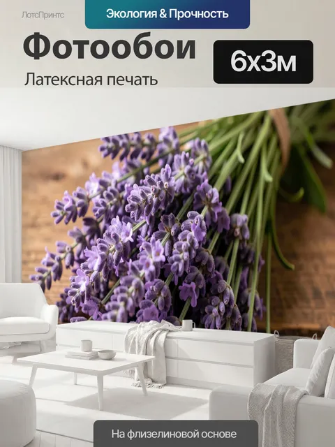 600 × 300 см · Латексная печать