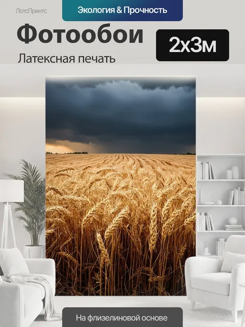 200 × 300 см · Латексная печать