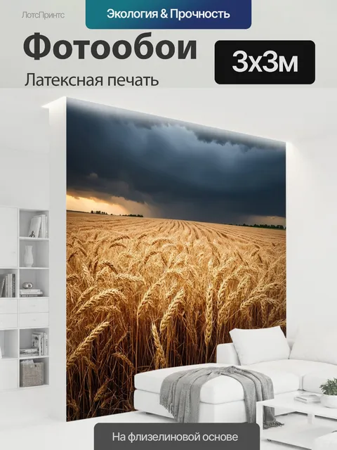 300 × 300 см · Латексная печать