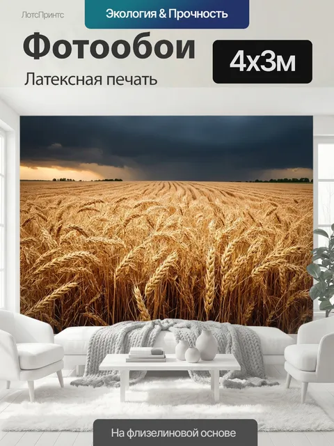 400 × 300 см · Латексная печать