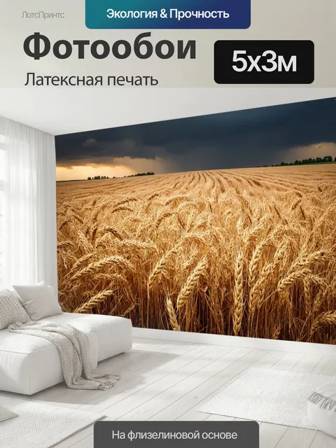 500 × 300 см · Латексная печать