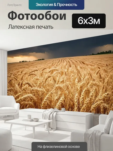 600 × 300 см · Латексная печать