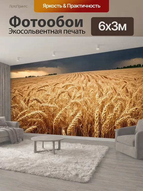 600 × 300 см · Экосольвентная печать