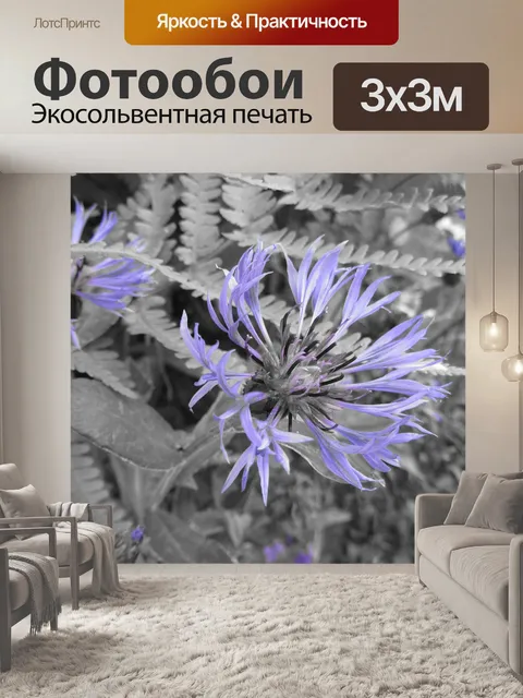 Фотообои Василька, цветок, блуберри