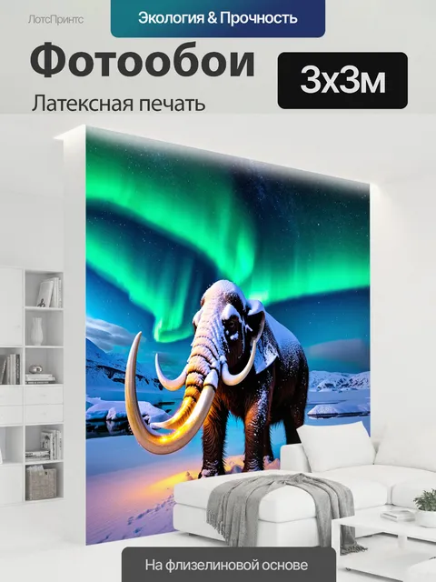 300 × 300 см · Латексная печать