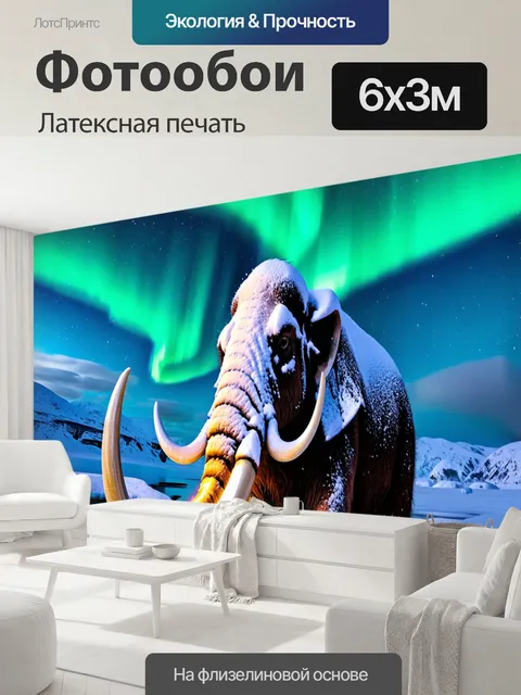 600 × 300 см · Латексная печать
