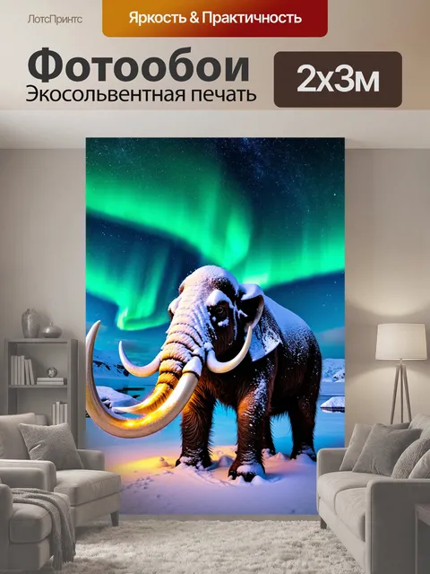 200 × 300 см · Экосольвентная печать