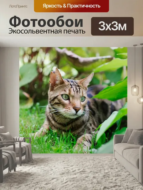 Фотообои Кот, бенгал, бенгальский