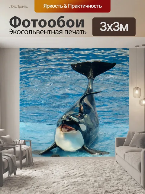 Фотообои Кит, млекопитающее, огромный