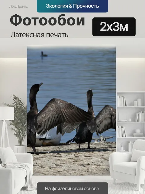 200 × 300 см · Латексная печать
