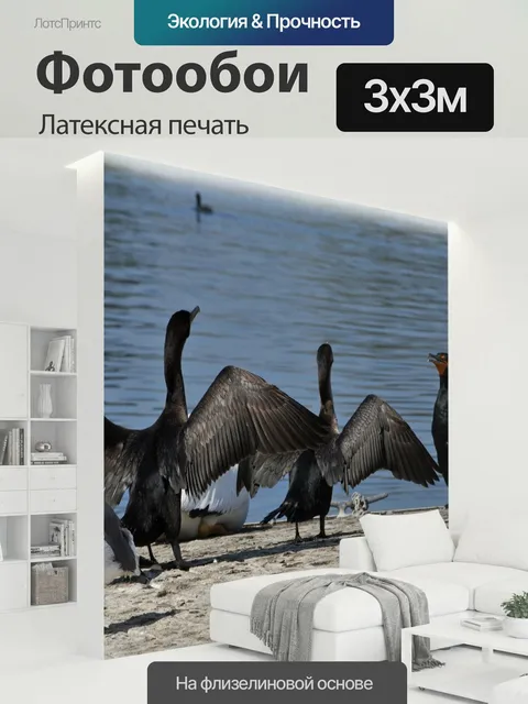 300 × 300 см · Латексная печать