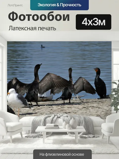 400 × 300 см · Латексная печать