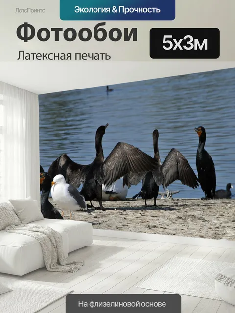 500 × 300 см · Латексная печать