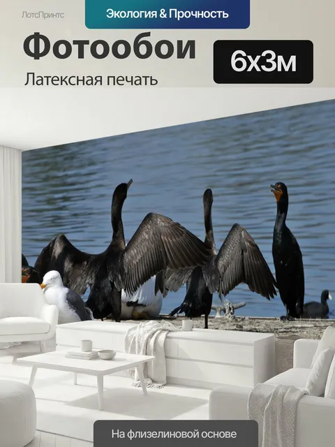 600 × 300 см · Латексная печать