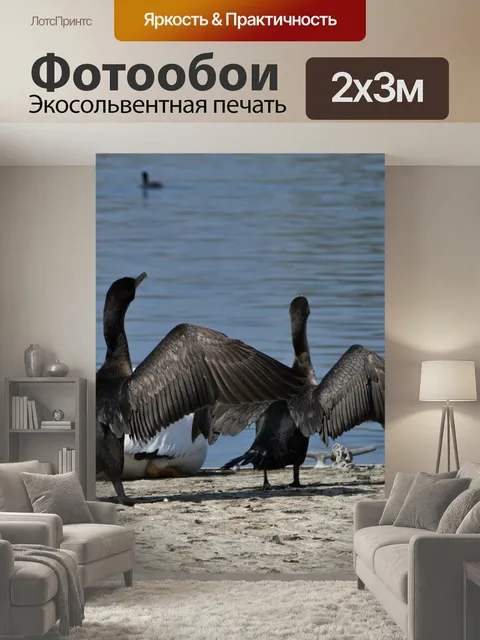 200 × 300 см · Экосольвентная печать