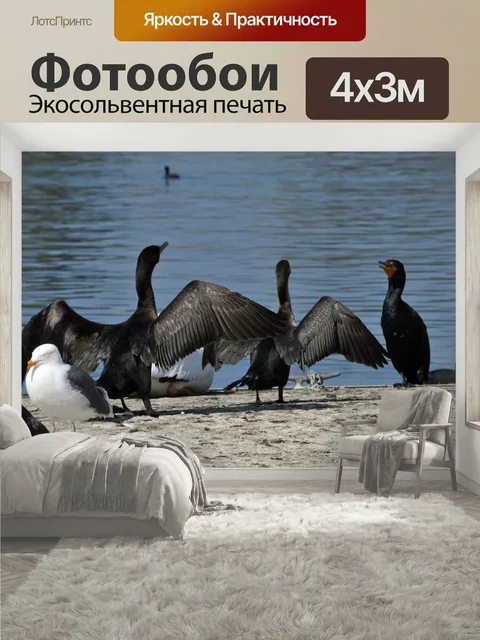 400 × 300 см · Экосольвентная печать
