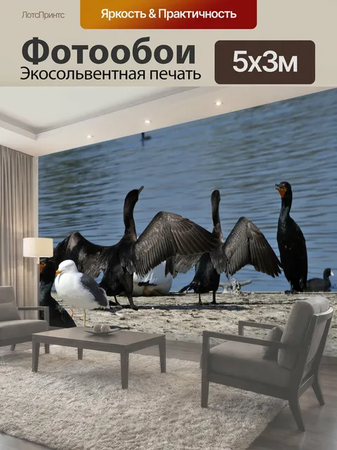 500 × 300 см · Экосольвентная печать