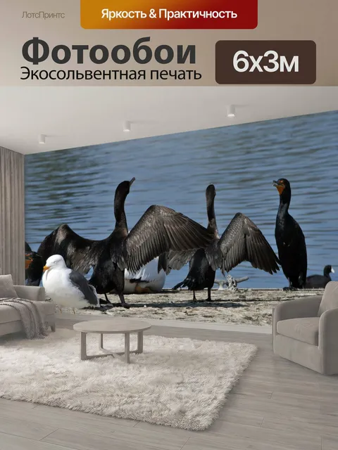 600 × 300 см · Экосольвентная печать