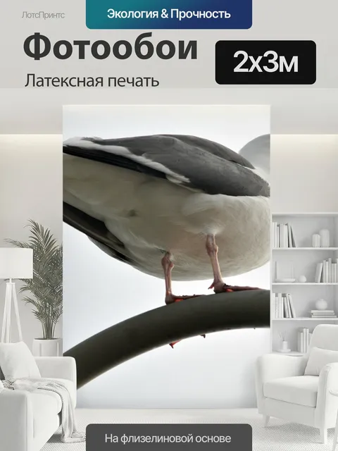 200 × 300 см · Латексная печать