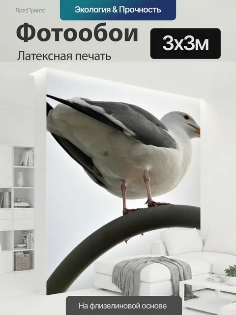 300 × 300 см · Латексная печать