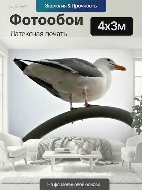 400 × 300 см · Латексная печать