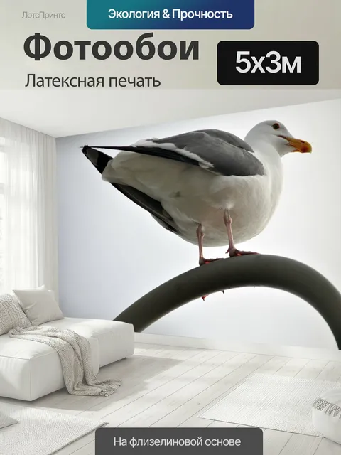 500 × 300 см · Латексная печать