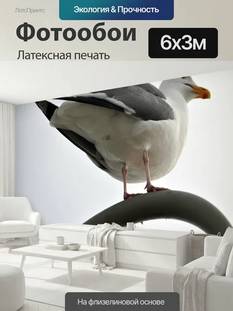 600 × 300 см · Латексная печать
