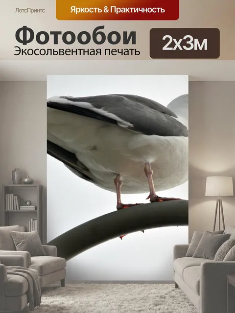 200 × 300 см · Экосольвентная печать