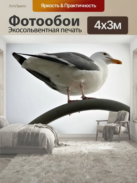 400 × 300 см · Экосольвентная печать