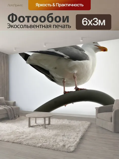 600 × 300 см · Экосольвентная печать
